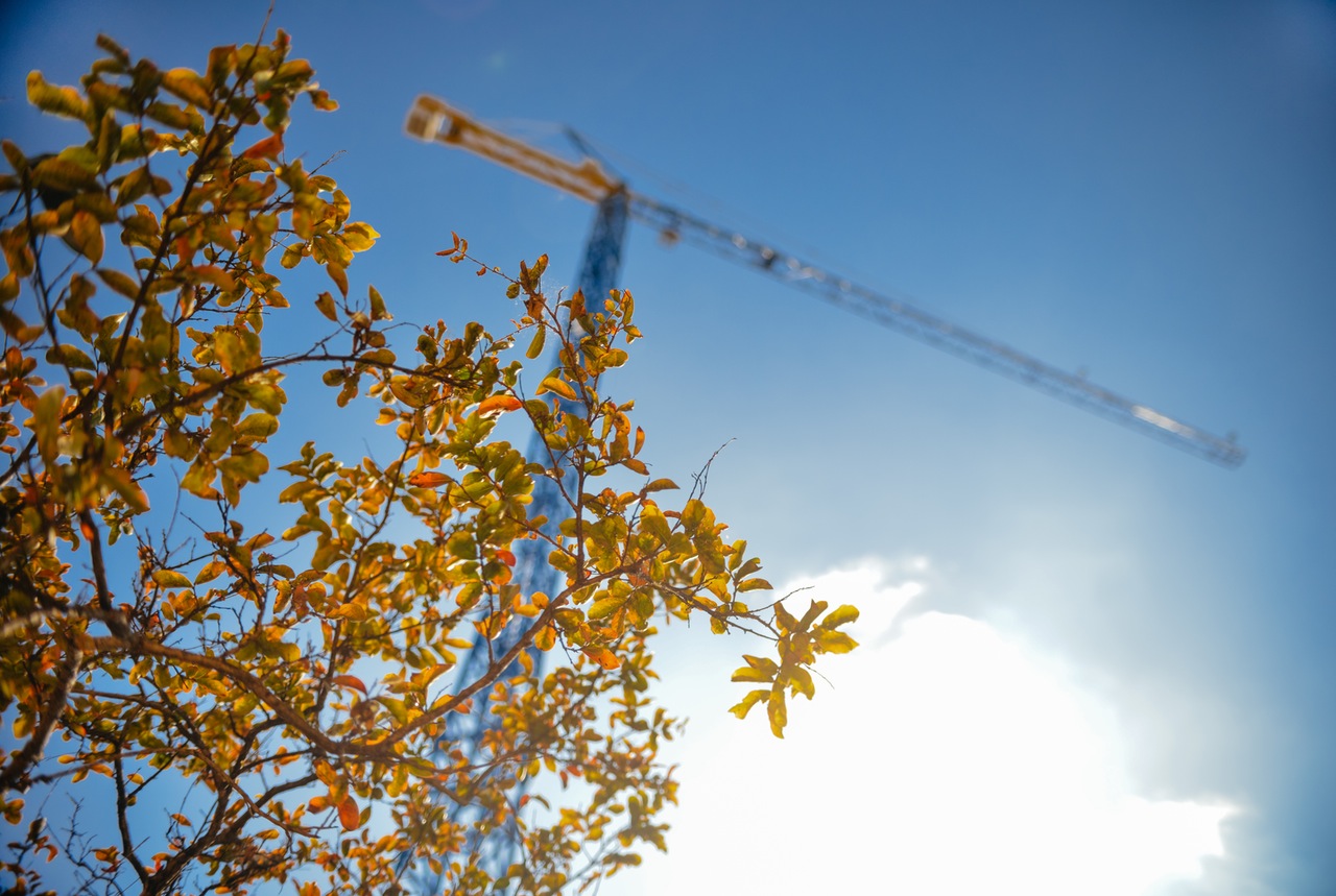 construction-industry-crane-leaves
