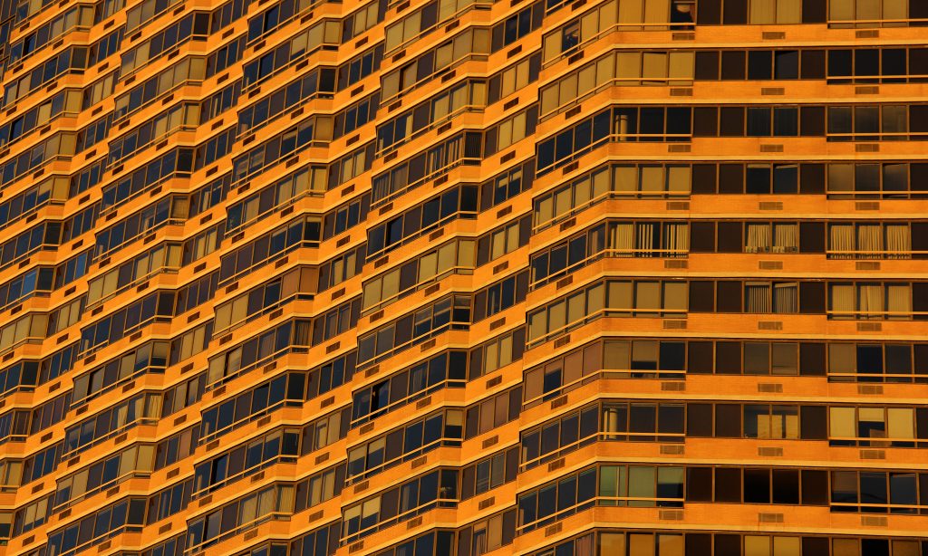 pexels-photo-26688