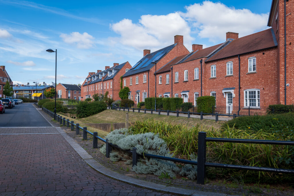 This is an image of a street in a newer housing development. The foreground of the image is of plants along a road leading up to a line of new build homes. It highlights the preservation of local biodiversity